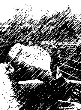 HMCS Victoria